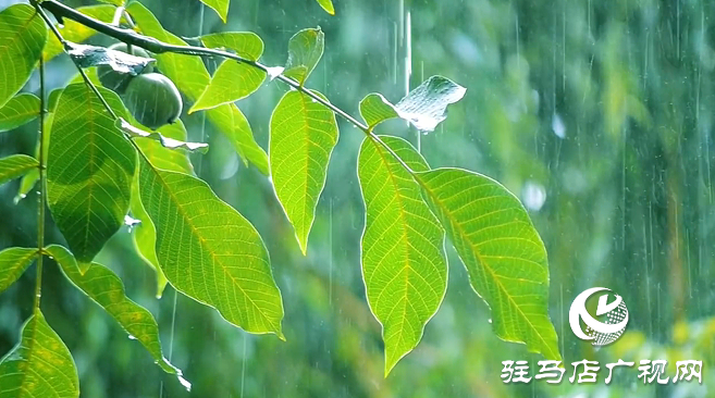 初夏：描繪時(shí)光的溫柔畫(huà)卷
