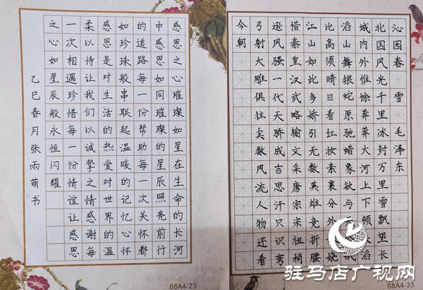 駐馬店職業(yè)技術學院成功舉辦“墨韻校園，詩詠青春”硬筆詩詞大賽
