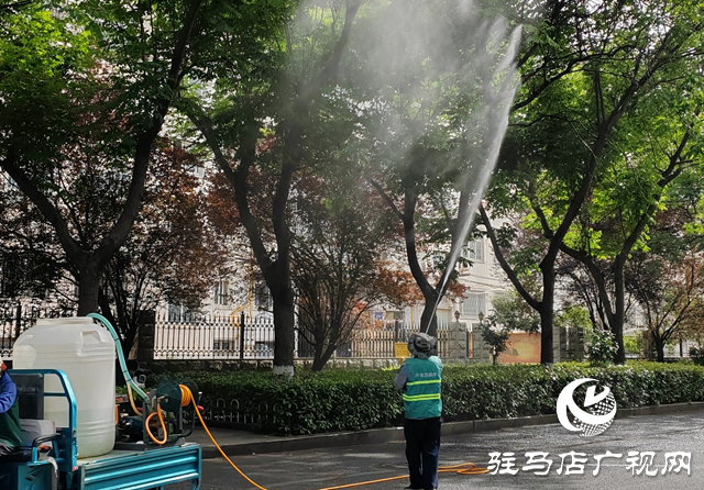駐馬店經(jīng)濟(jì)開發(fā)區(qū)：開展蚜蟲專項防治 千棵行道樹“清蟲煥綠”