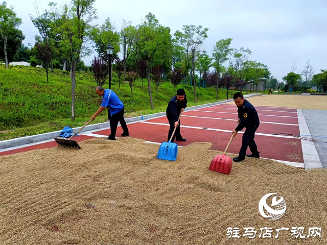 確山縣住建局:提供公共場(chǎng)所助力群眾曬糧