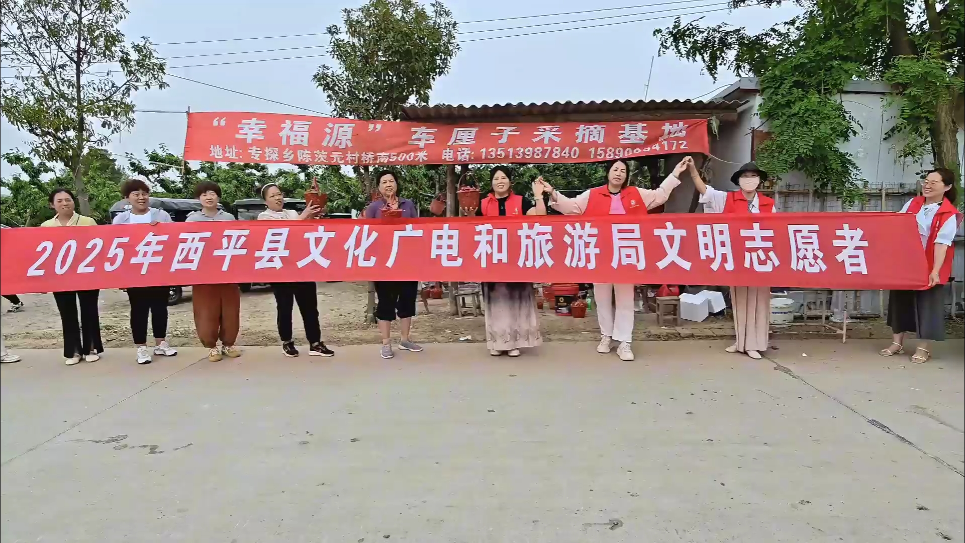  “櫻”為有你 生活美好：西平縣文旅志愿者助力果農(nóng)開啟甜蜜豐收季