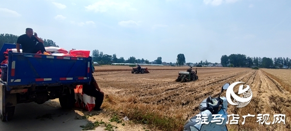 平輿縣東皇街道：趁天搶時戰(zhàn)“三夏”