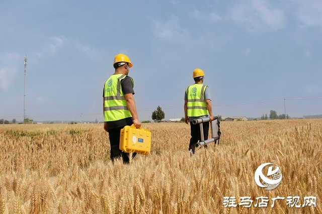 駐馬店移動(dòng)西平分公司開(kāi)展機(jī)房巡檢 全力保障通信網(wǎng)絡(luò)穩(wěn)定運(yùn)行