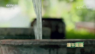 被蘇東坡“種草”了楊梅粽！網(wǎng)友：古人可真會吃啊