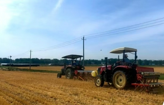 泌陽縣郭集鎮(zhèn)：玉米大豆間作增效 科技賦能穩(wěn)糧增產(chǎn)