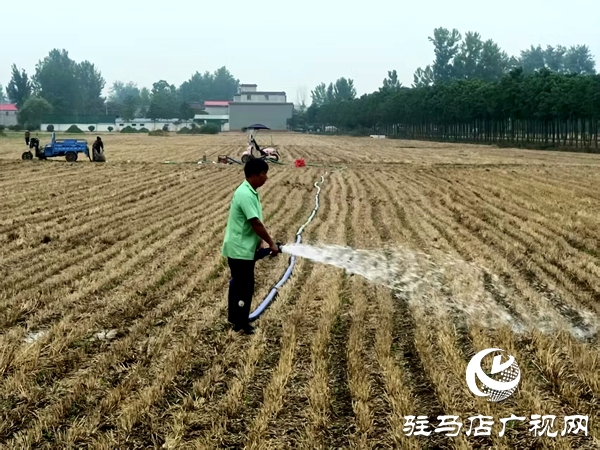 平輿縣民政局結(jié)對(duì)幫扶高莊村全力做好抗旱保苗工作