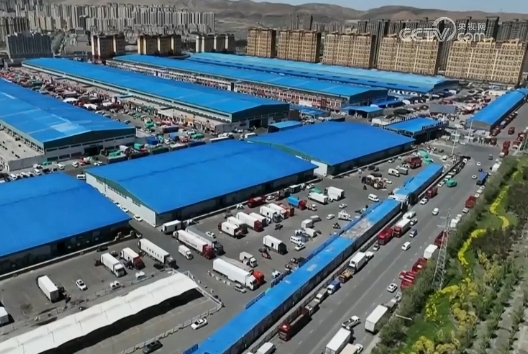 我國(guó)構(gòu)建起冷鏈物流“四橫四縱”骨干通道網(wǎng)絡(luò)