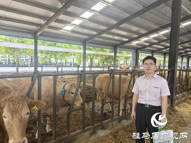 農(nóng)行駐馬店泌陽縣支行呂紹勇：金融星火點亮鄉(xiāng)村振興路