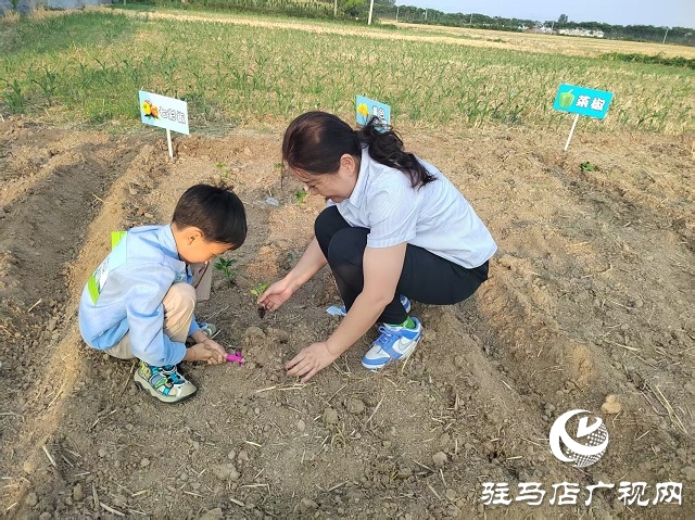 中國人壽財險駐馬店公司:耕種希望土地  收獲保險情誼