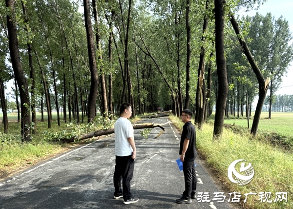 平輿縣：休息日響應(yīng)“零延遲” 熱線聯(lián)動(dòng)兩小時(shí)打通“梗阻路”