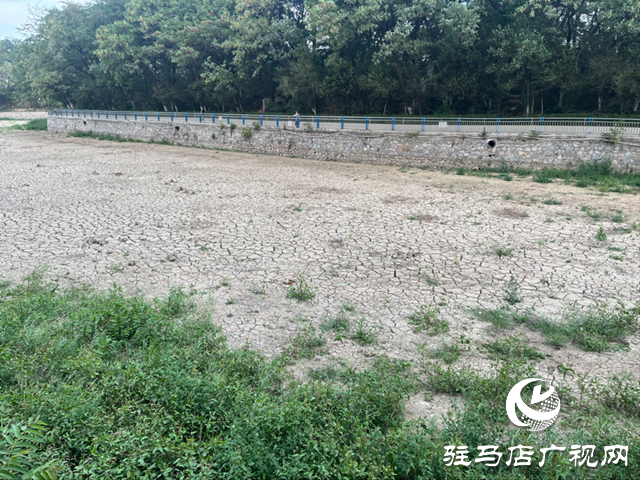 駐馬店市南海公園湖水干涸見底 記者實地探訪