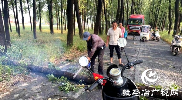 平輿縣：“接訴即辦”顯擔當  熱線聯(lián)動速排道路險情