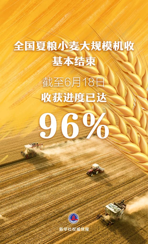 全國(guó)夏糧小麥大規(guī)模機(jī)收基本結(jié)束