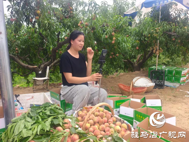 手機(jī)成“新農(nóng)具” 直播變“新農(nóng)活”！泌陽(yáng)果農(nóng)破局林果銷售助鄉(xiāng)村振興