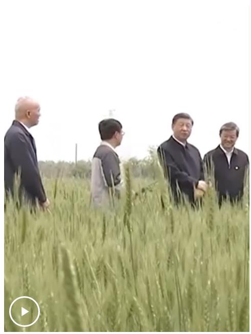 時習(xí)之丨采取“長牙齒”的硬措施保護耕地