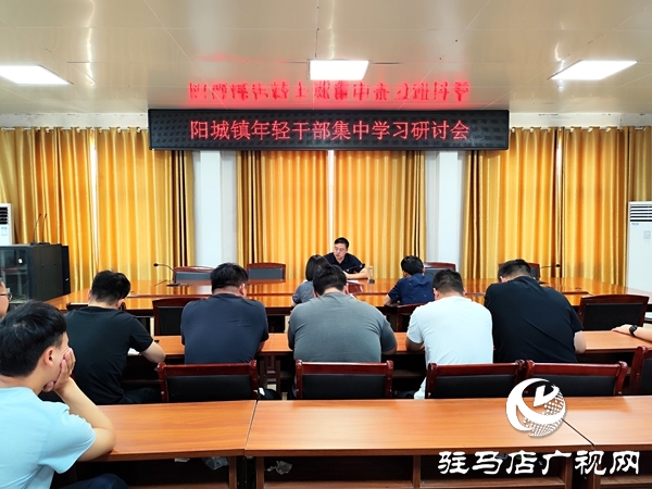 平輿縣陽城鎮(zhèn)召開年輕干部集中學(xué)習(xí)研討會(huì)