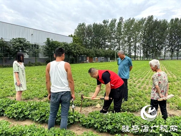 平輿縣李屯鎮(zhèn)司法所：巧解土地糾紛“千千結(jié)”繪就鄉(xiāng)村和諧新畫卷