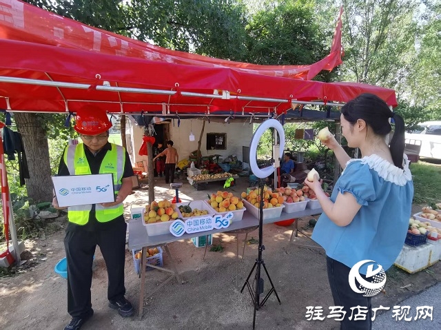 駐馬店移動為桃農(nóng)提供優(yōu)質(zhì)網(wǎng)絡保障