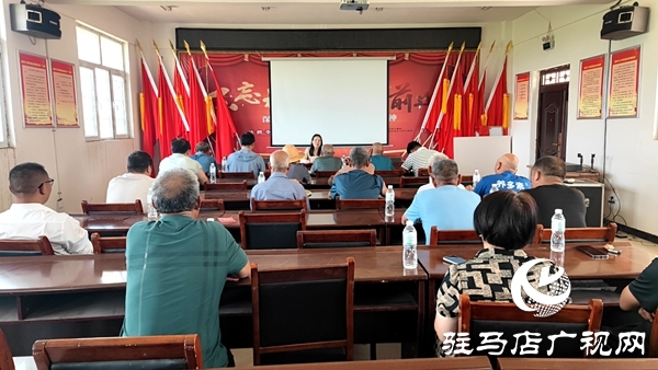 平輿縣老王崗鄉(xiāng)黨委副書記、鄉(xiāng)長(zhǎng)到孫坡村講專題黨課