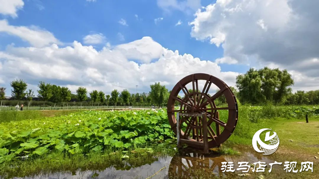 【大美天中】泌陽(yáng)現(xiàn)“水晶天”！漢風(fēng)古韻與湖光云影同框