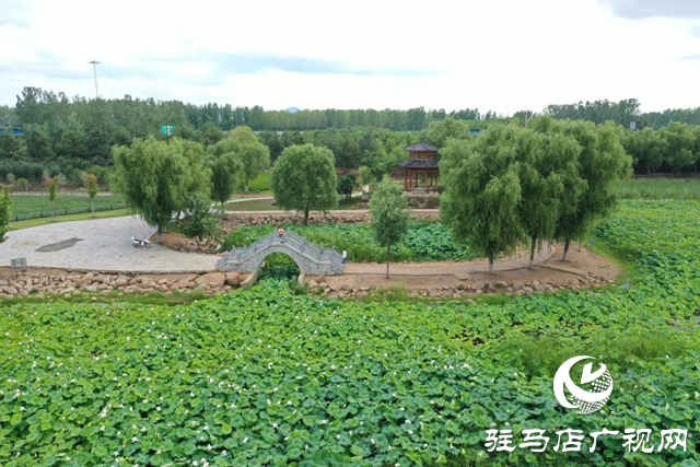 【大美天中】泌陽(yáng)現(xiàn)“水晶天”！漢風(fēng)古韻與湖光云影同框