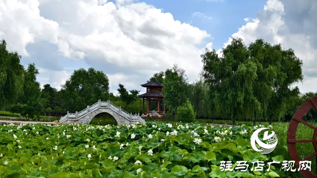 【大美天中】泌陽(yáng)現(xiàn)“水晶天”！漢風(fēng)古韻與湖光云影同框