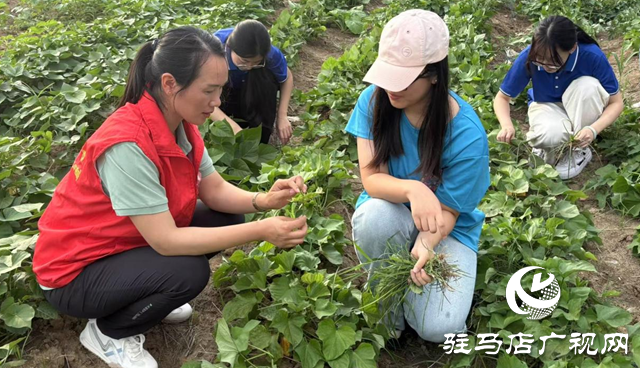 黃淮學(xué)院:以科創(chuàng)之力服務(wù)兩高四著力戰(zhàn)略 書寫新時代青春答卷