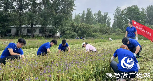 黃淮學(xué)院:以科創(chuàng)之力服務(wù)兩高四著力戰(zhàn)略 書寫新時代青春答卷