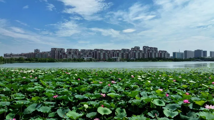 縣區(qū)動態(tài) | 白云升遠岫，搖曳入晴空