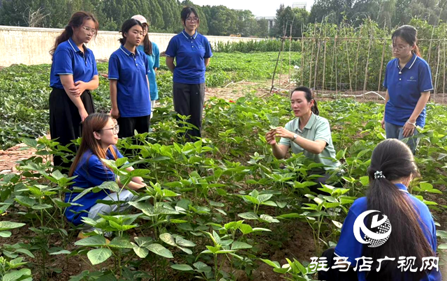 黃淮學(xué)院:以科創(chuàng)之力服務(wù)兩高四著力戰(zhàn)略 書寫新時代青春答卷