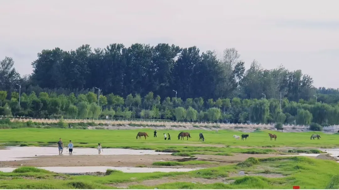 縣區(qū)動態(tài) | 快來泌陽的“阿勒泰”打卡！