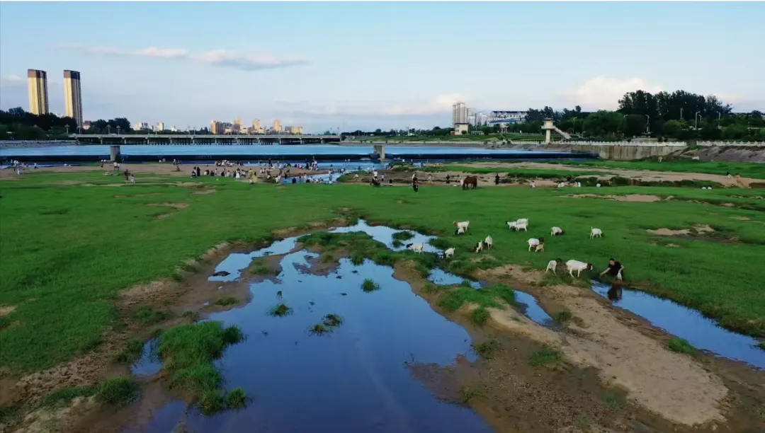 縣區(qū)動態(tài) | 快來泌陽的“阿勒泰”打卡！