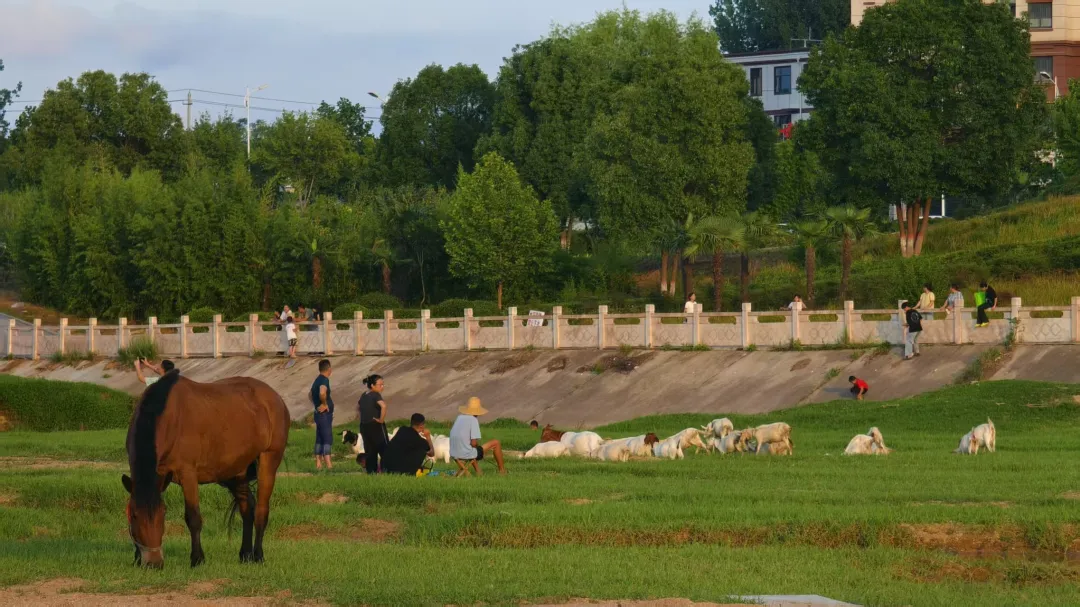 縣區(qū)動態(tài) | 快來泌陽的“阿勒泰”打卡！