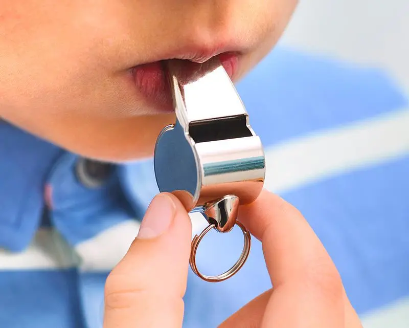 文博日歷丨吹響它，仿佛回到了童年的夏天