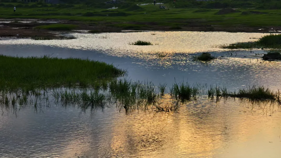 縣區(qū)動態(tài) | 快來泌陽的“阿勒泰”打卡！