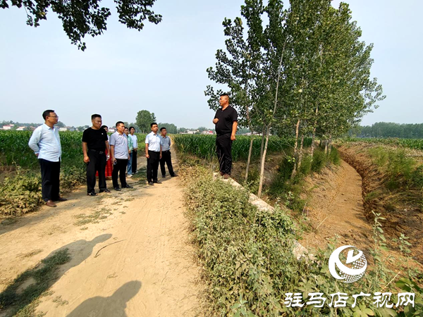 平輿縣李屯鎮(zhèn):溝渠連通惠民生 “三園”建設(shè)促發(fā)展