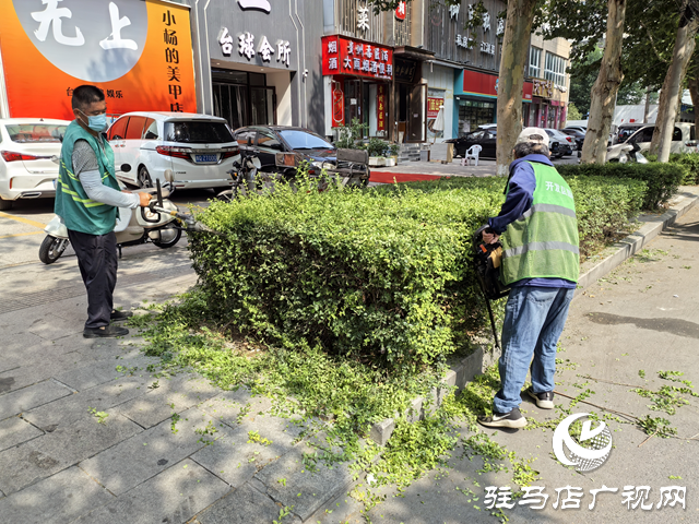 開發(fā)區(qū)城市管理局:全力打好“戰(zhàn)高溫 保綠蔭”攻堅戰(zhàn) 守護(hù)城市綠色風(fēng)景線