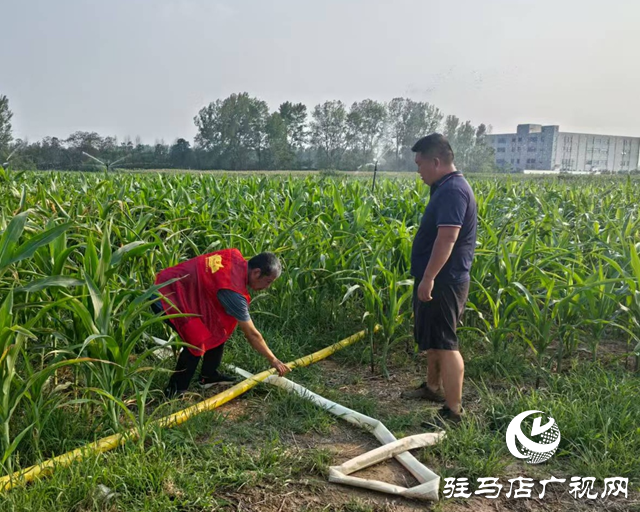 驛城區(qū)關王廟鄉(xiāng)：抗旱保秋 全力守護&ldquo;糧袋子&rdquo;