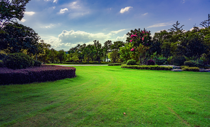 縣區(qū)動(dòng)態(tài) | 一泓碧水繞城過(guò) 滿目青綠夏意濃