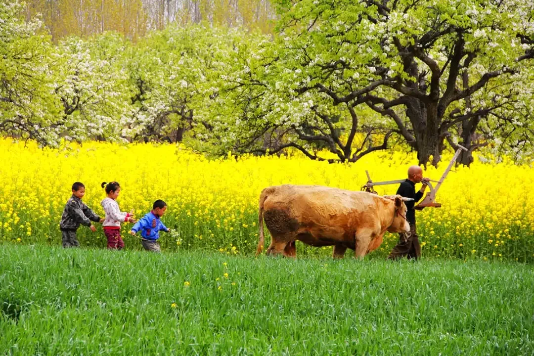 縣區(qū)動(dòng)態(tài) | 來泌陽吧，來一場(chǎng)不一樣的生態(tài)游