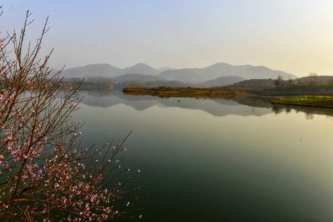 縣區(qū)動(dòng)態(tài) | 來泌陽吧，來一場(chǎng)不一樣的生態(tài)游