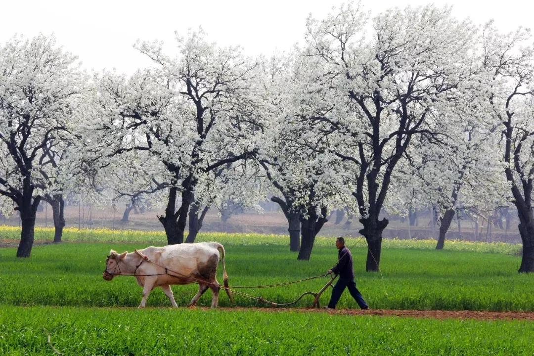 縣區(qū)動(dòng)態(tài) | 來泌陽吧，來一場(chǎng)不一樣的生態(tài)游
