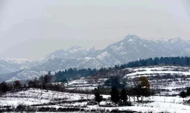 縣區(qū)動(dòng)態(tài) | 來泌陽吧，來一場(chǎng)不一樣的生態(tài)游