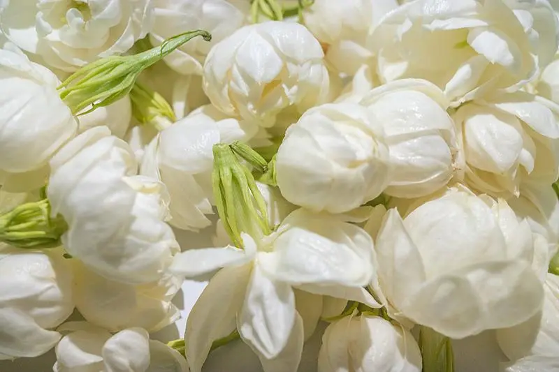 文博日歷丨誰是竹夫人？古人消暑神器了解一下