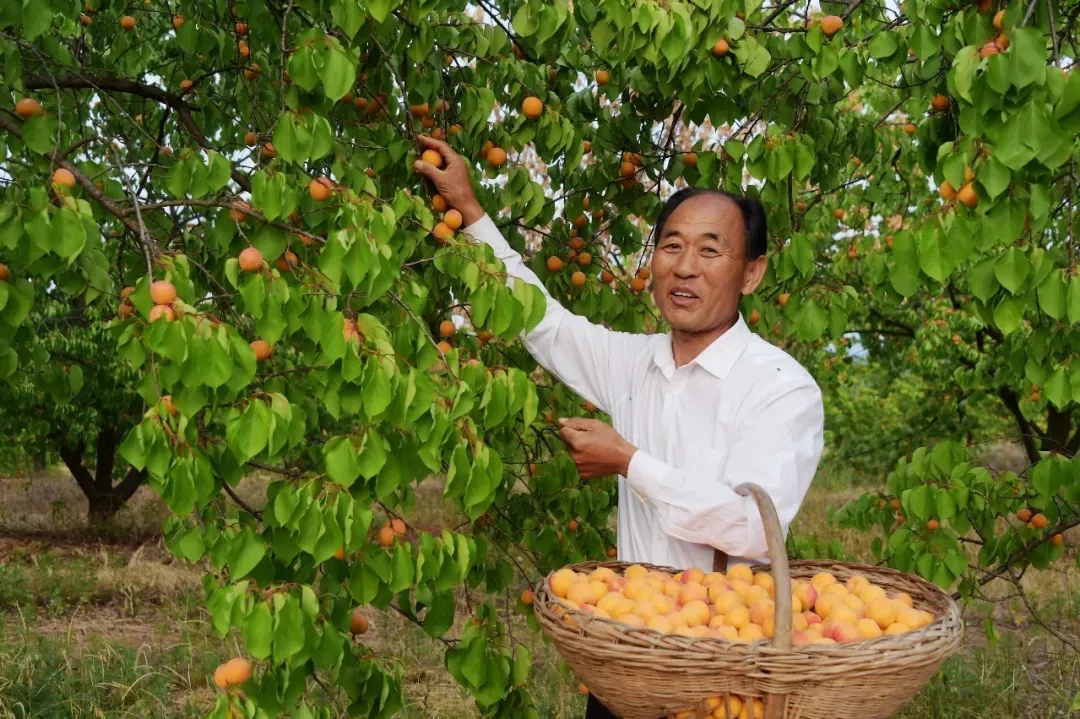 縣區(qū)動(dòng)態(tài) | 來泌陽吧，來一場(chǎng)不一樣的生態(tài)游