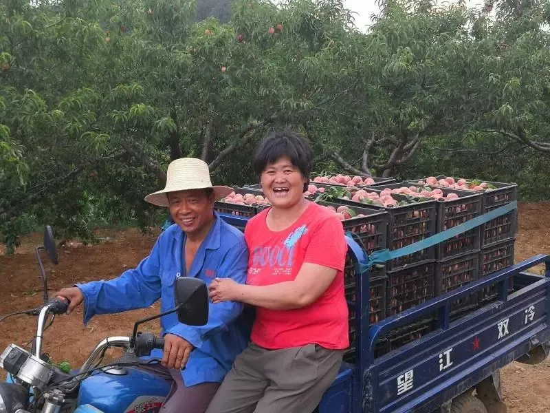 縣區(qū)動(dòng)態(tài) | 來泌陽吧，來一場(chǎng)不一樣的生態(tài)游