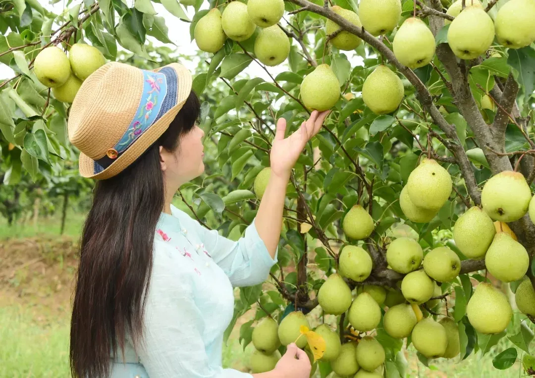 縣區(qū)動(dòng)態(tài) | 來泌陽吧，來一場(chǎng)不一樣的生態(tài)游