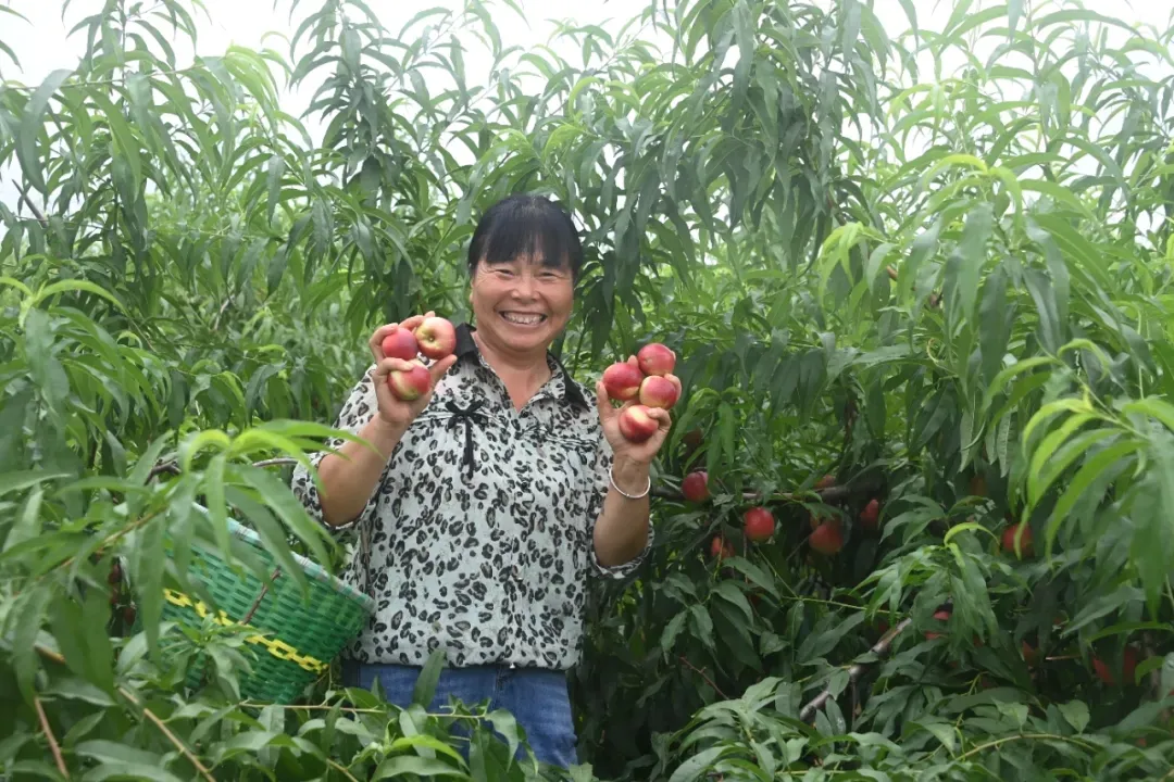 縣區(qū)動(dòng)態(tài) | 來泌陽吧，來一場(chǎng)不一樣的生態(tài)游