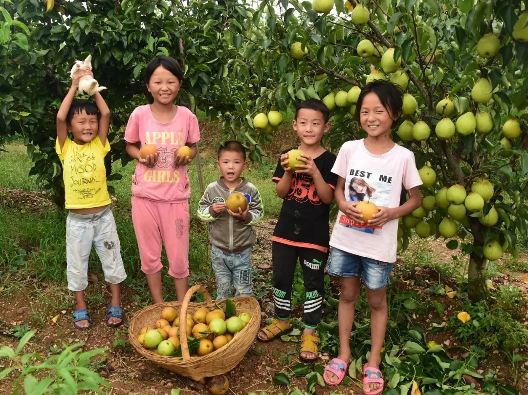 縣區(qū)動(dòng)態(tài) | 來泌陽吧，來一場(chǎng)不一樣的生態(tài)游