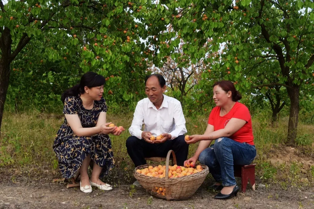 縣區(qū)動(dòng)態(tài) | 來泌陽吧，來一場(chǎng)不一樣的生態(tài)游